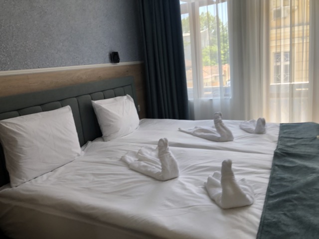 Burgas Butik Otel Çift Kişilik Oda - Hotel Efes